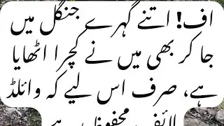 Awareness Man of Pakistan دیکھیں کہا جاکر کچرا اٹھا رہا ہو 
