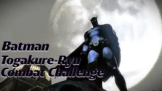 Batman: Arkham Origins - Togakure-Ryu ( Batman ) / Flawless Combat