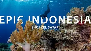 Epic Indonesia Snorkel Safari 2025 | Wakatobi, Alor, West Komodo, Misool