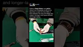 Calling it the Blade Battery was genius