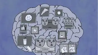 START Animation - How Addiction to Opiates Work