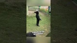Этот медвежонок готов к детскому саду 🐻