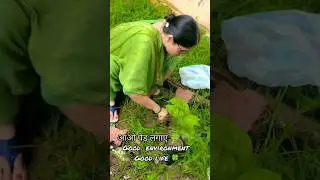 Good environment good Life save trees 🌳🙏#tree#safety #environment #awareness #ytshorts #vlog