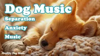Calming Music for Dogs💖🐶dog music to calm them🎵 Separation Anxiety Relief