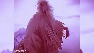 [FREE]✵✵Opium Bird Type Beats   Ambient Type Beat + Erosion Bird Type Beat   Meme 2027✵✵