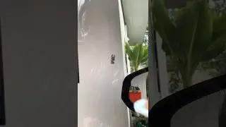 How to remove 3M logo on car windows
