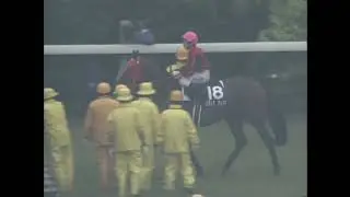 2004年安田記念　ツルマルボーイ