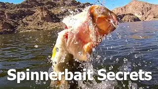 Spinnerbait Fishing at San Carlos Lake with Rob Wenning & John Shaw | Arizona Bass Action!