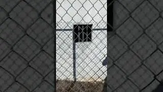 Smallest jail in the world!!