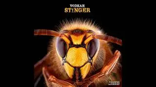 Vodkah - Stinger