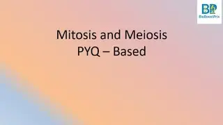  PYQ Biology &ndash; Mitosis & Meiosis Mastery#awes2025 #neet#biologyrevision 