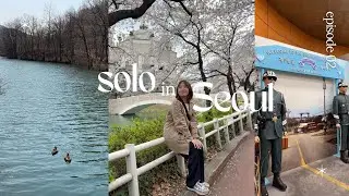 DMZ Tour, Majang Lake, Cherry Blossom Hunting in South Korea | Spring 2025