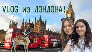 VLOG: ИЗ ЛОНДОНА | БЕМБИ ОЛЕНИ | ШУМНЫЙ ЛОНДОН | РИЧМОНД ПАРК