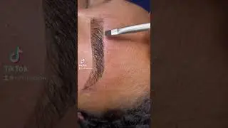 Brow Tint Transformation