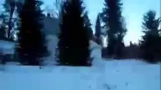 Two Dog Trails