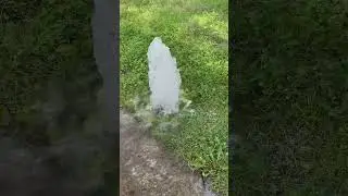 Broken sprinkler head wastes water #shorts