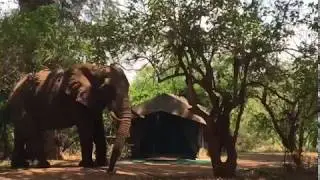 Pafuri Walking Trails in Kruger National Park