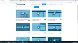 OddsMonkey Video Guides