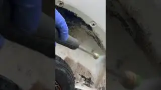 Old undercoat removal Bug and Tar remover then pressure washed