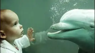 The Secrets Of Dolphin Assisted Birth