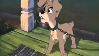 A Dama e o vagabundo 2 ''O Que eu Quero Mais é ser Rei''