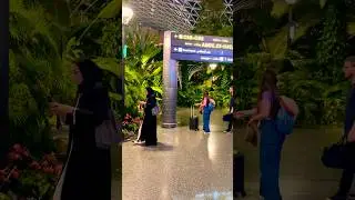 Qatar 🇶🇦 Internatinal Airport #airport #shorts #youtubeshorts #trending #video #new #qatar #doha