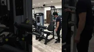 プローンレッグカール