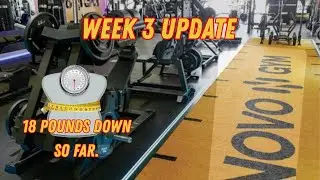 I Hit the Golden Dose and Started the Gym