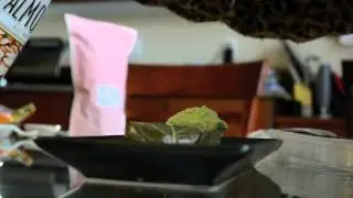 Spirited Away Inspired Dessert (Cinema & Spice Contest Entry)
