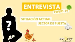 SITUACIÓN ACTUAL de la AVICULTURA DE PUESTA en España con la CRISIS del CORONAVIRUS 🐔🦠