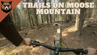 Shuttle Day at Moose Mountain | Alberta POV Mountain Biking