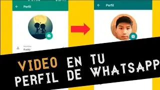 Como poner video a tu perfil de WhatsApp