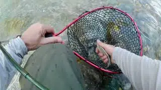 Fly Fishing Savoie, France - Part 4 - Arc River
