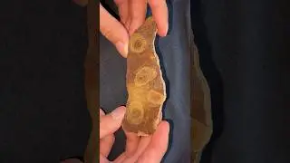 Строматолит