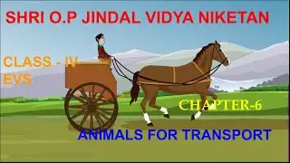 CLASS-IV || EVS || SUMMARY OF CHAPTER-6 || ANIMALS FOR TRANSPORT