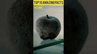 Top 10 Interesting Facts 😱 | FACT FARAZ | #shorts #viral