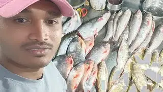 ANILGURU is live! psycho fish #viralvideoshorts #youtubeshorts   #post #Hosur #fish  #facebook 