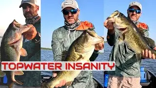 INSANE Topwater Bass Fishing at Lake Toho - The Kissimmee Chain