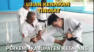 Ujian Kenaikan Tingkat | PERKEMI | KAB. KETAPANG | 2025