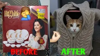 Turn Cardboard Box into a Cat Cave Transformation 😻 sasta Jugad Free of Cost💯
