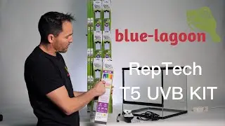 RepTech T5 UVB Lampen kit | Blue-Lagoon Maassluis