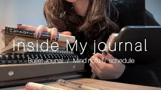 【書く言語化】Bullet Journal / Mind note / Schedule 🌿ノート作りと変化した人生観。