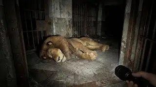 The Lost Madagascar Characters &mdash; Found in an Abandoned Zoo