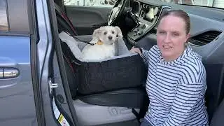 Автокресло для собак