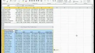 Pivot Cache in a Pivot Table on a custom customer revenue report