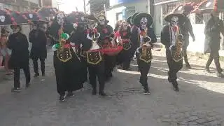 Grande tradi&ccedil;&atilde;o Caretas de Saubara Bahia🎺