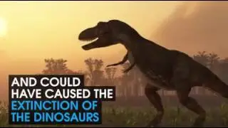Is Planet X responsible for Extinction Events in Earths History?