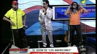 Americones en Animales Sueltos