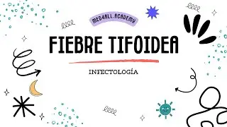 Fiebre Tifoidea: Diagn&oacute;stico y Manejo
