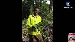 comrade news :  Arogyapacha - Eachen kani dies